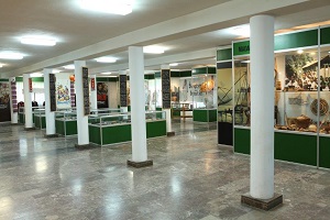 Muzeum_Misyjne1